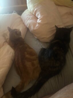 Zoe a Meggie - 2