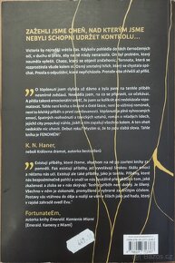 Kniha Vzplanutí P. S. Herytiera - 2