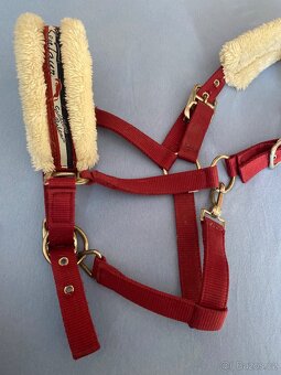 Ohlávka vel. Cob - 2