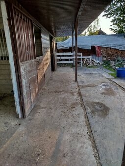 Ustájení koní. - 2
