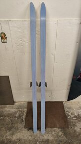 Běžky Cristal LT55 150 cm - 2