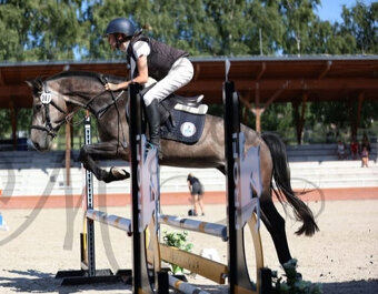 valášek pony B pro náročné - 2