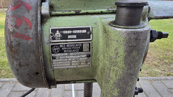 Dlabačka tesařská - 2