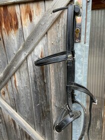 Obnosek, hackamore - 2