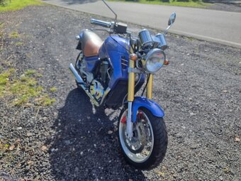 Sachs Roadster 800 - 2