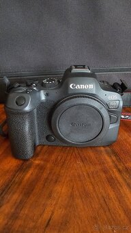 Canon EOS R6 Mark II - 2