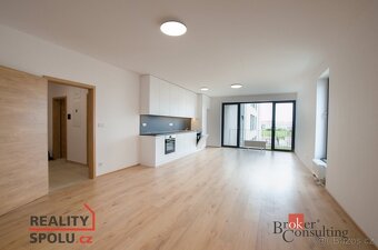 Pronájem, byty/2+kk, 70 m2, Železná 3061/12, Jižní Předměstí - 2