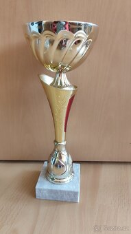 Velký sportovní pohár pro vítěze - 2