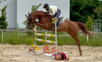 Valach 2020 po For Treasure VDL - 2