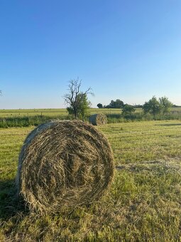 Seno - kulaté balíky - 2