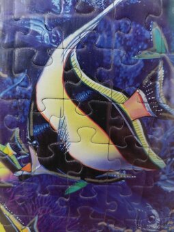 Obraz z puzzle zarámovaný - 2