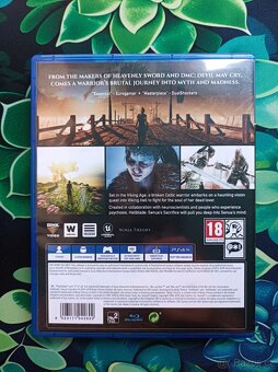 Hellblade: Senua's Sacrifice - 2
