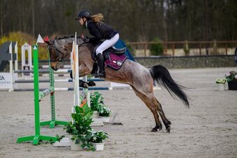 Pony A - Merci - 2