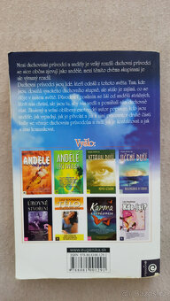 Duchovní průvodci a andělé strážní (Richard Webster) - 2