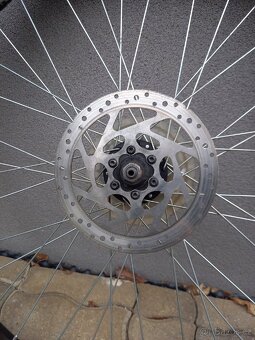 Kola 26" - 2