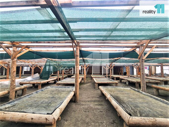 Pronájem, pozemek 1200 m2, tržnice Libenice - 2