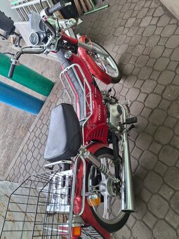 Kentoya Twin Cup 50 - 2