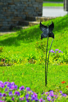 Motýl na stéblech - 2