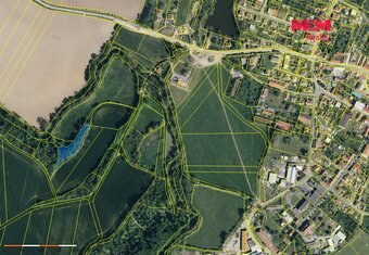Prodej lesa, 2904 m², Ronov nad Doubravou - 2
