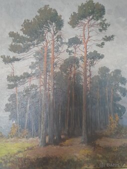 Obraz plátno malíř Karel Havláta - 2