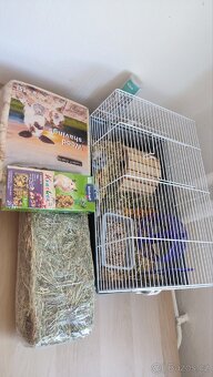 Prodám křečka s klecí a vším, co k ní patří (krmivo atd.). - 2