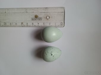 Násadová vajíčka, křepelka celadon - 2