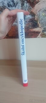 Školní encyklopedie - kol. autorů - 2