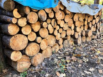 Palivové dřevo měkké kulatina 20 prmr - 2