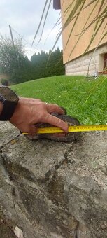 Dětské boty na motorku - 2