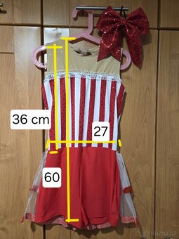 Dívčí kostým / dres - 2