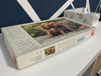 dino puzzle - 2