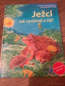 Třídění knihovny dcery - 2