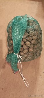Vlašské ořechy neloupané 6 kg - 2