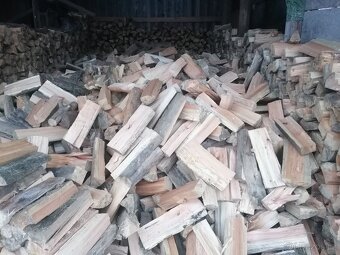 Palivové dřevo - 2