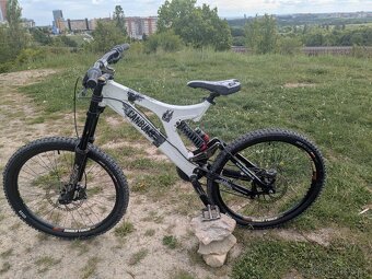 Sjezdové kolo Can Bums DH - 2