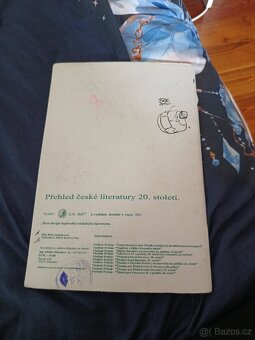 Přehled české literatury 20 století - 2