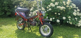 Babetta Stella 134 - 2