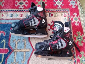 Brusle lední hokej - 2