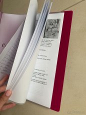 Maturitní otázky do českého jazyka (20 knih) - 2