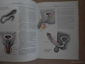 ENCYKLOPEDIE pohlavního života - 2