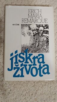 Knihy beletrie, naučná, hobby - 2