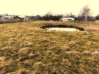 Pronájem pozemku 8.000m2 pro koně atd., 2.000 Kč měsíčně. - 2