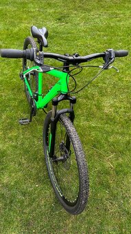 Capriolo 29” - 2