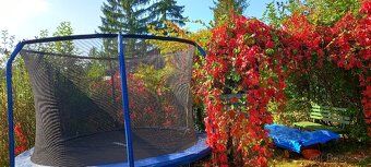 trampolína Marimex - 2