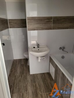Nabízíme pronájem prostorné bytové jednotky 1+1, OV, V Sídli - 2