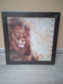 Obraz lev - 2
