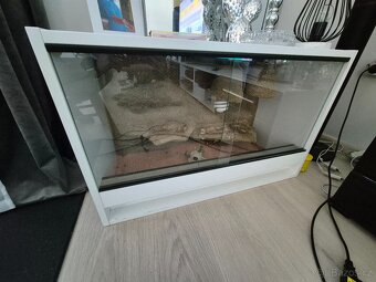 Terárium pro Agamu - 2