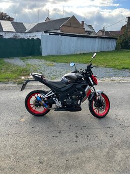 UM Xtreet 125, A1 - 2