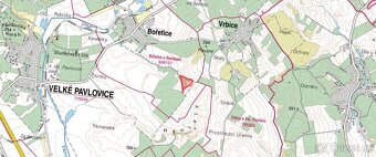 Zemědělská půda, prodej, Bořetice, Břeclav - 2