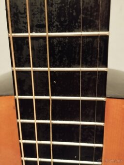 Španělská kytara CATALINA 100cm - 2